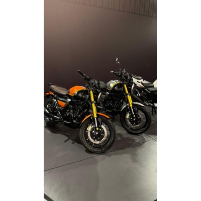 TVS Ronnin 225 CC Motosiklet