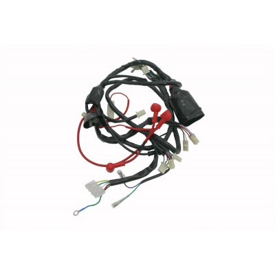 Mondial 50 Revival Scooter Yedek Parca - Elektirik Tesisatı Komple 2016